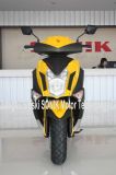 150cc/125cc/50cc EEC Gas Scooter, Scooter, Motor Scooter (Raptor)