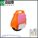 Intelligent Self Balancing Electric Scooter