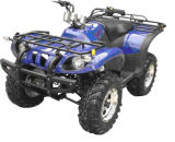 250cc ATV with EEC ( DF250ATV-G)