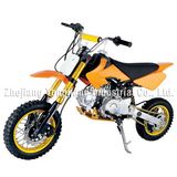 Luxury 110CC-125CC PIT BIKE / Dirt Bike (BKGS-F04AKU)