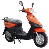 OEM 800W Electric Scooter (ZXTDM63Z)