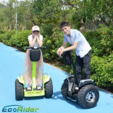 China off Road 2-Wheel Electric Mobility Scooter Motor Scooter with Ce