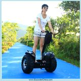 Good Quality Electric Scooter Part for Sale