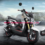 Zoomer-X, 150cc/125cc/50cc Sport Motorcycle, Gas Scooter, Sport Gas Scooter, Sport Motorbike, Original Motorcycle Design Style