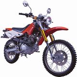 Dirt Bike (BD125GY)