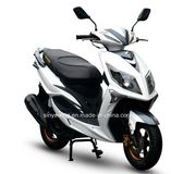 Wholesale Nice LED Headlight 150cc Scooter