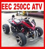 New Gas Powered 250cc 4 Wheeler Quad (MC-388)
