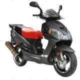 Scooter (SP150T-3E) 