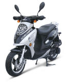 Gasoline Scooter (TPGS-804)