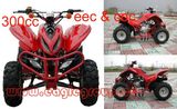 300CC ATV /Quad with EEC (YG300E-A2)