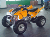 EEC / EPA ATV 250cc (JX250ST-8)