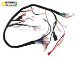 Ww-8807 Motorcycle Part, Cg125 Motorcycle Wire Harness,