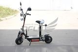 EEC Type New Foldable 800W Electric Scooter ES8002