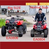 Big Size Electric ATV (800W/1000W)