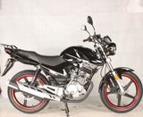 Hot Style Motorcycle on Sale