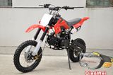 50CC/70CC/90CC/110CC Mini Moto Dirt Bike for Child