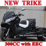New Racing Trike ATV 250cc