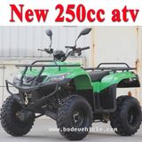 New Version 250cc Quad Bike