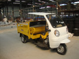 Powerful Three Wheeled Motorcycle with ABS Cabin and CCC ISO9001 Certificate