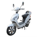 Factory Directly Supply Cheap Electric Scooter for Adults Made in China