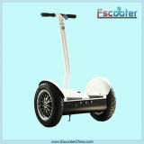 Chinese 2 Wheels Electrical Standing Scooter