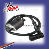 Motor Ignition Coil for Ybr125