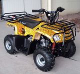 50/70/90CC ATV for Kid (QY50ATV-H)