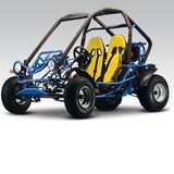 250CC Go Kart (BD250-B)