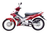 Motor Bike New Design (BD110-18)