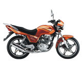 Motorcycle (FK125-8 Ruizi)
