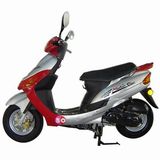 Scooter (TM50E)