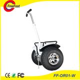 Two Wheel Smart Balance Electric Scooter