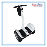 EEC China Electric Moped Scooter