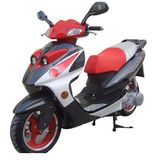 Gas Scooter (AF125T-4)