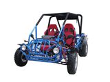 250CC Go kart (TY-GC250S-2)