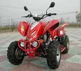 ATV300