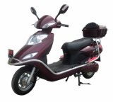 Electric Scooter (FPE-011)