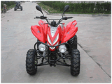 Raptor Style ATV 300  with EEC