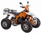 Quad Bike, ATV (FPA350E-2)