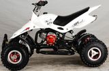 ATV / Quad (49CC)