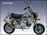 Motorcycle (ZH-R-125GZ)