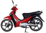 Cub Motorcycle (ANS110-6)