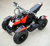 Mini Electric Quad Bike, Kids Electric ATV 500W (HL-A421B)