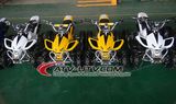 49cc Mini ATV for Kids (AT0493)