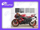 250cc New Design Racing Motorcycle, Double Muffler