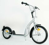 Steel Frame Foot Scooter (PB1612A)