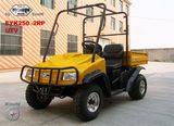 New Style Utility Vehicles(UTVs), Dirt Bike,ATV