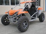 Go Kart (EEC LK800)