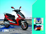 Electric Motorcycle (YHEM-5)