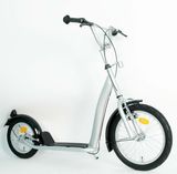 Steel Frame Kick Scooter (PB1612B)